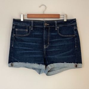 Women's American Eagle Ne(x)t Level Stretch Hi-Rise Jean Shorts - Size 14